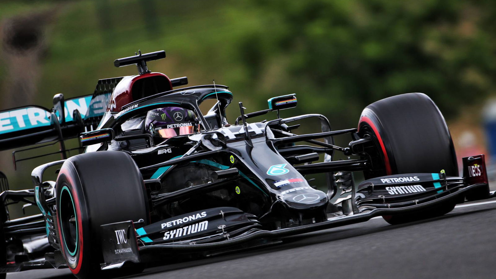 Hamilton needed 