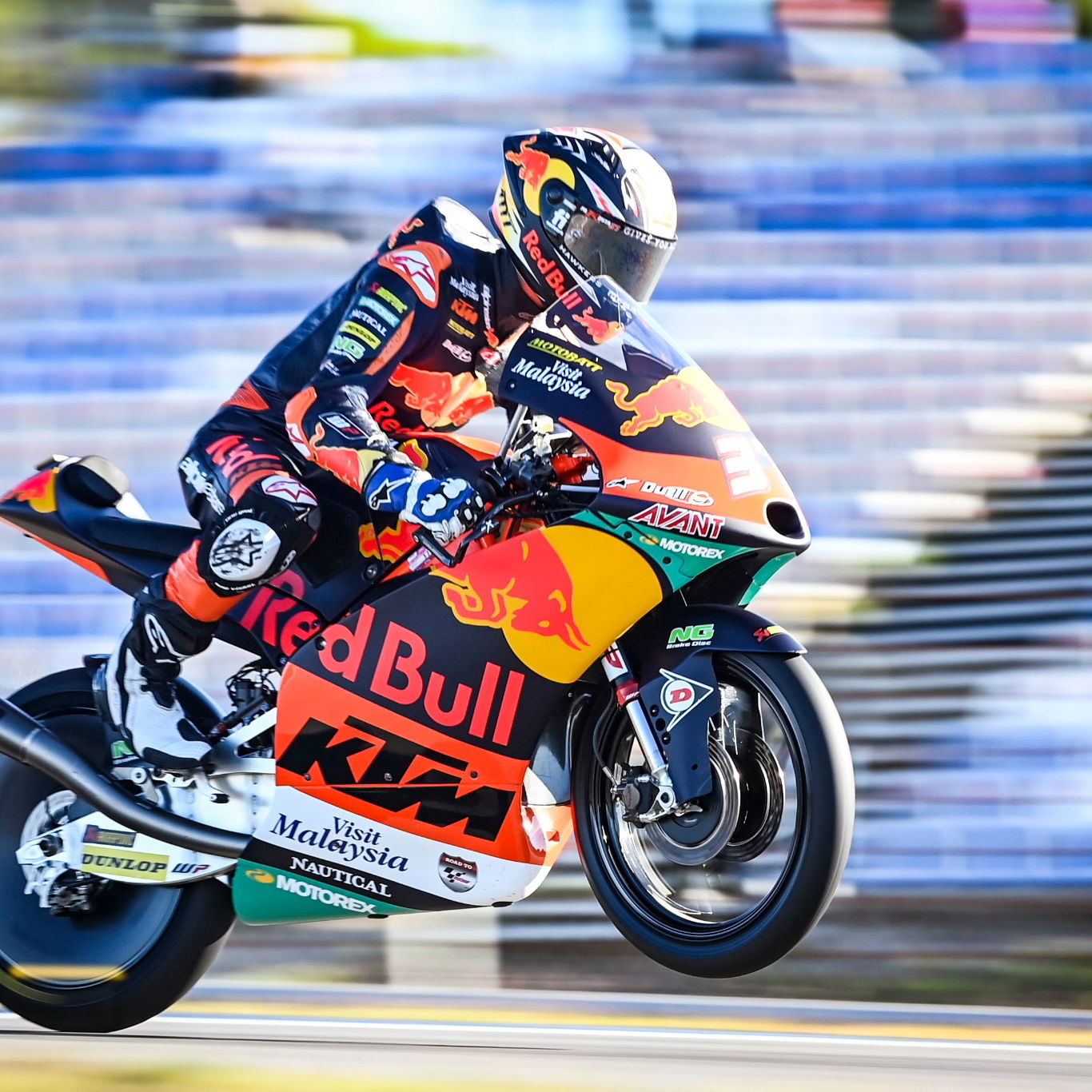 Pedro Acosta, Moto3, Algarve MotoGP 6 November 2021