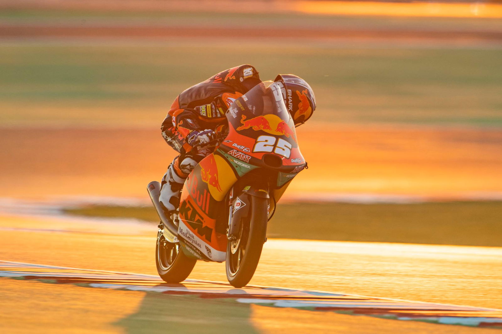 Lowes ruled out of Qatar GP with shoulder injury