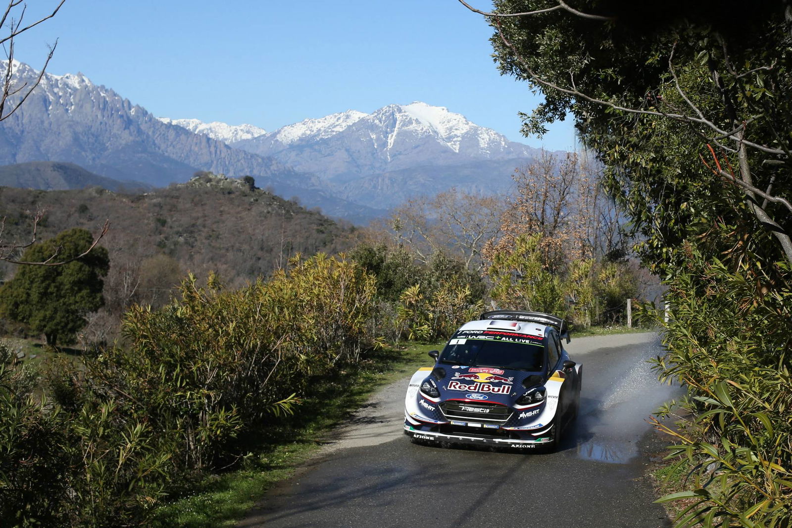 Tour de Corse - Results