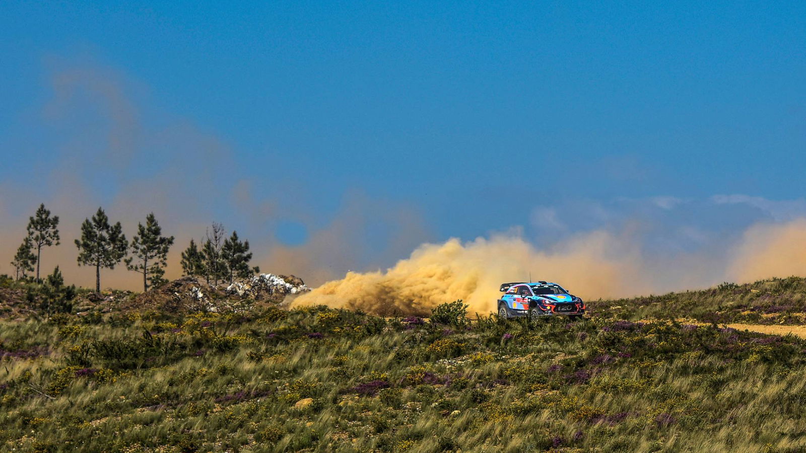 Rally de Portugal - Classification after SS15