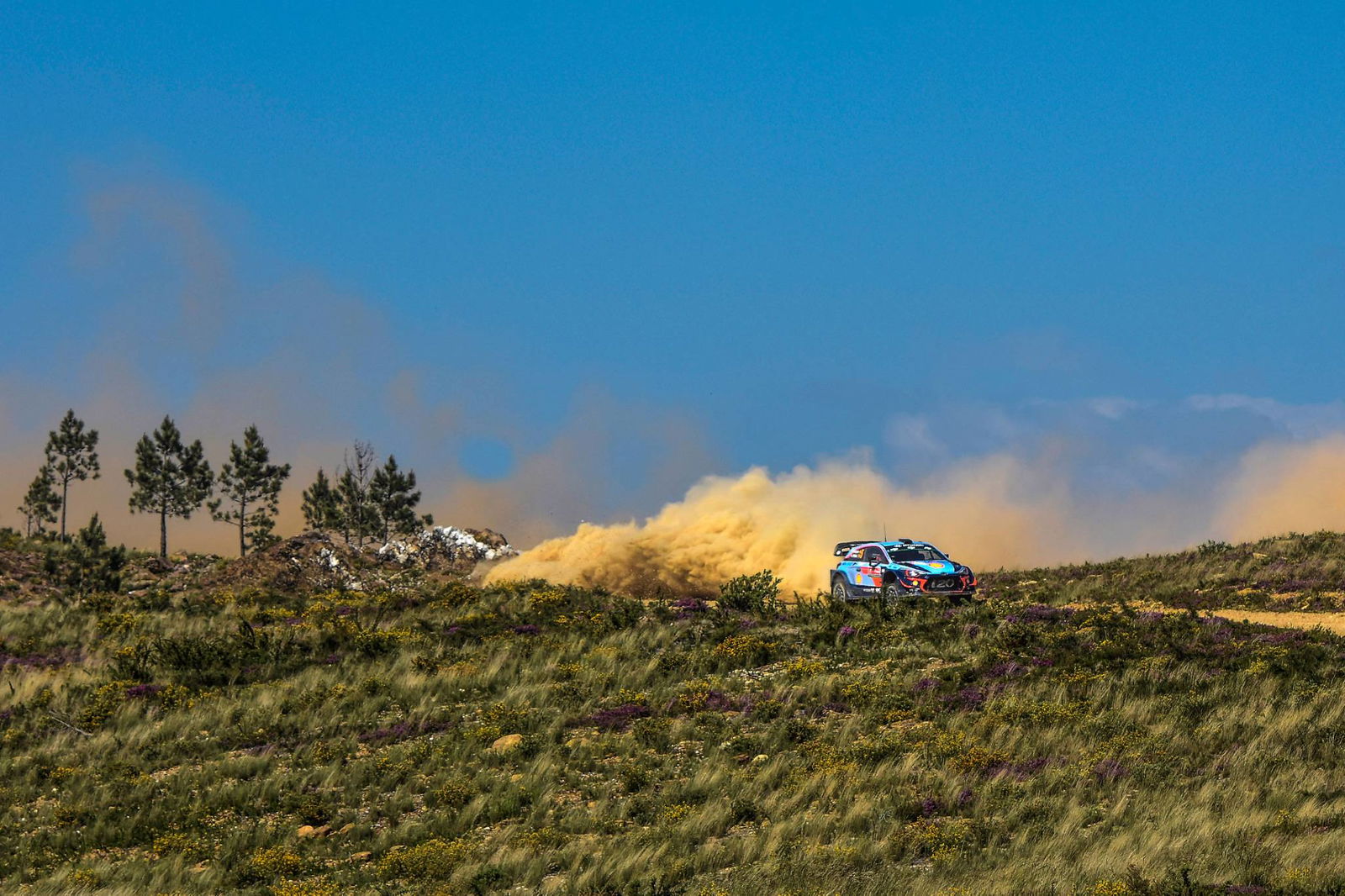 Rally de Portugal - Hasil
