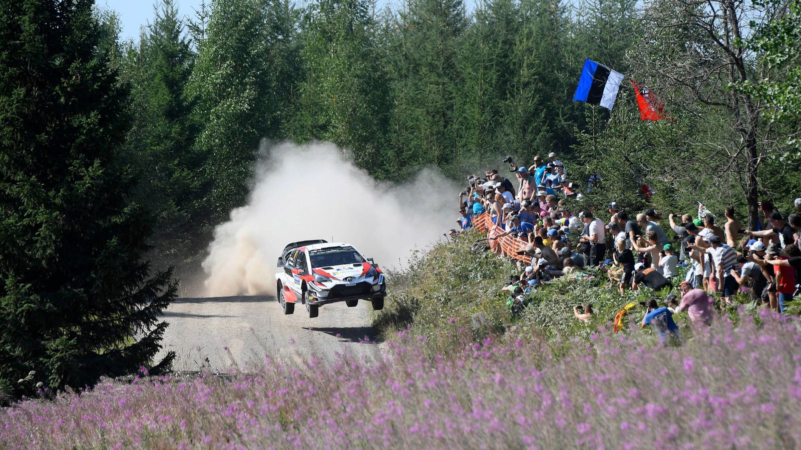 Reli Finlandia - Hasil