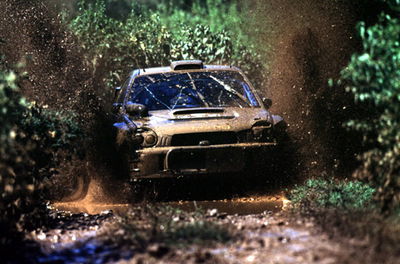 Preview: Safari Rally.