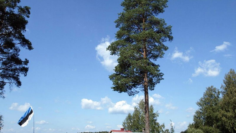 Q&A: Aime Chatard - Michelin.