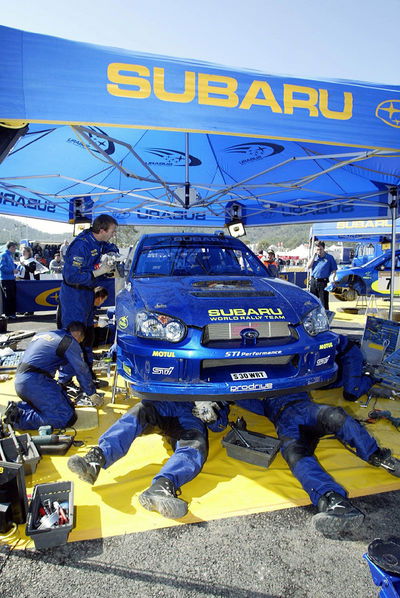 World Rally '2004-style' takes shape.