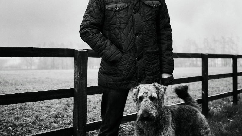 Christian Horner: Just walking the dogs
