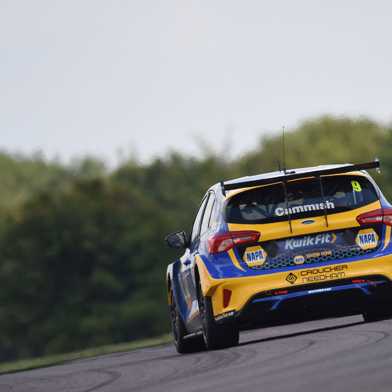 Dan Cammish (GBR) - NAPA Racing UK Ford Focus