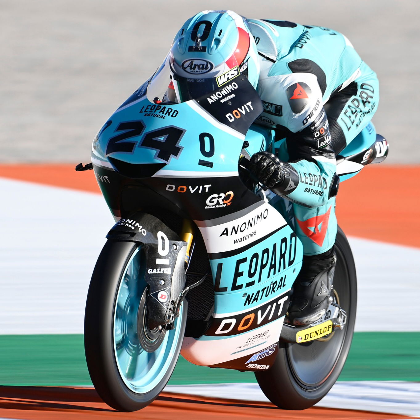 Tatsuki Suzuki, Moto3, Valencia MotoGP, 4 November