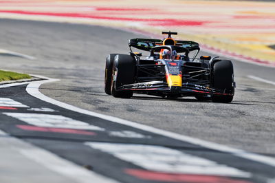 Max Verstappen (NLD) Red Bull Ra