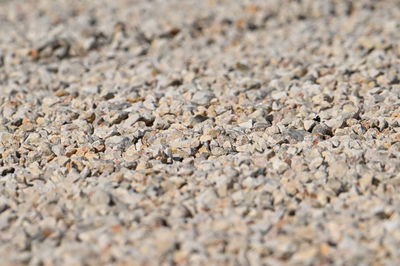 Gravel trap, Portimao MotoGP test, 12 March