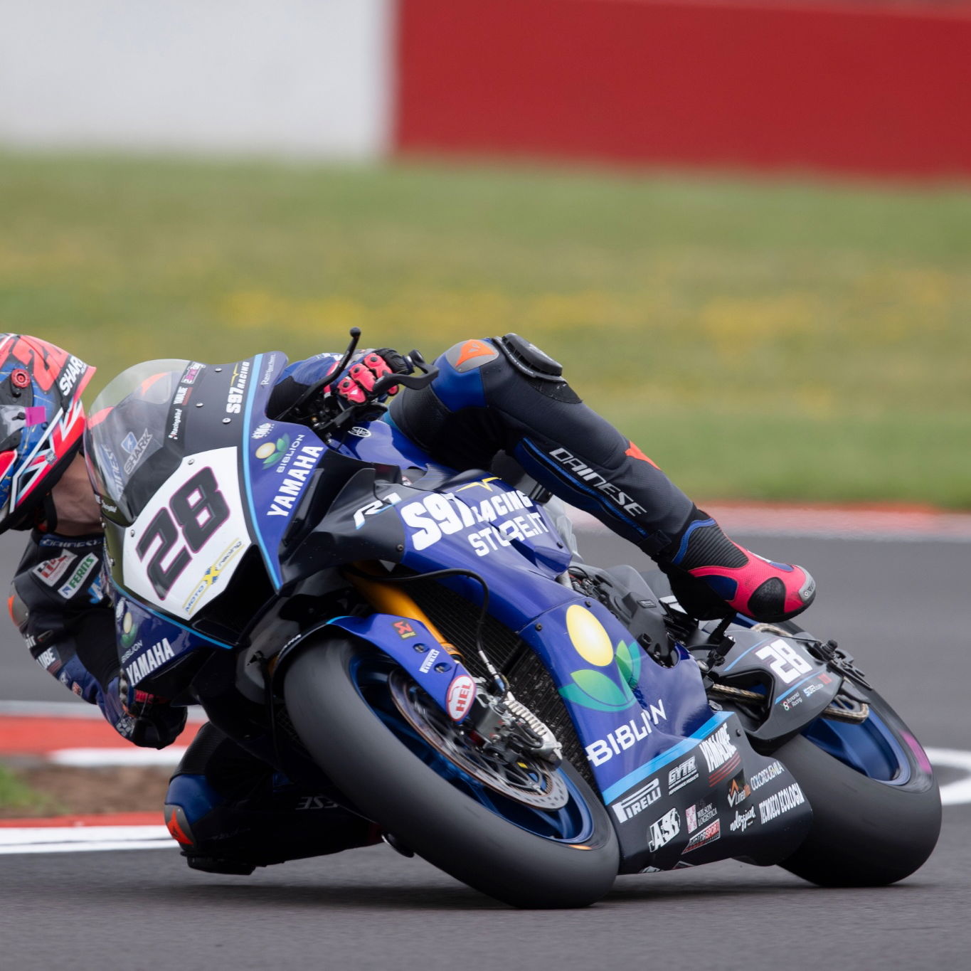 Bradley Ray, British WorldSBK, 01 July