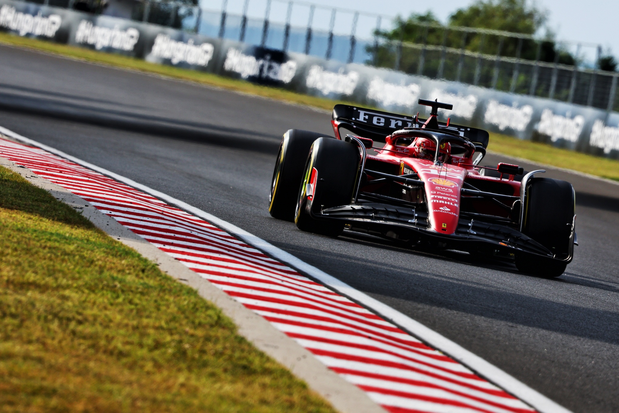 2023 F1 Hungarian Grand Prix - Friday Practice