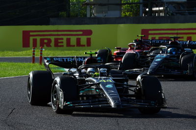 Lewis Hamilton (GBR) Mercedes AMG F1 W