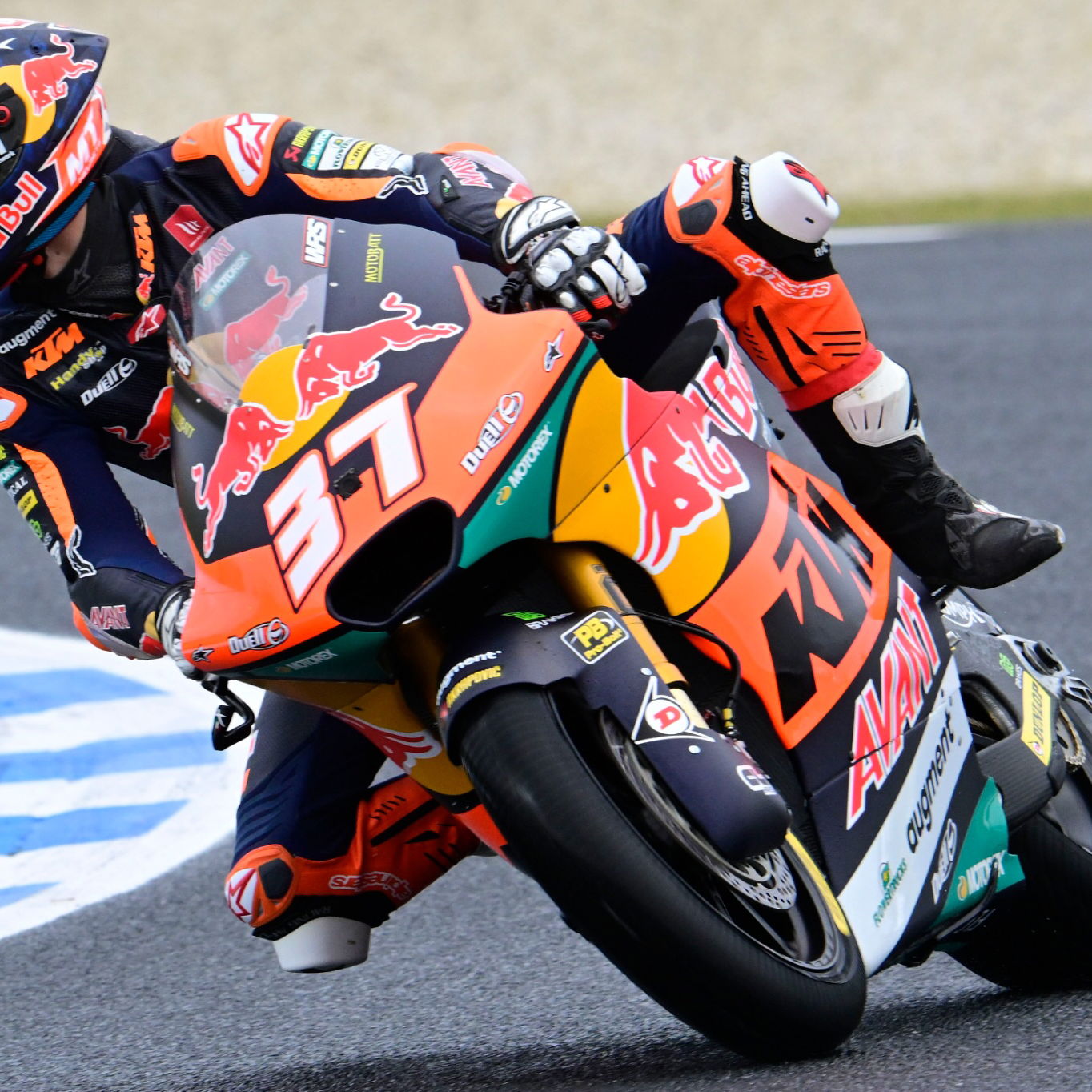 Pedro Acosta, Moto2, Australian MotoGP, 22 October