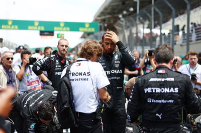 Lewis Hamilton (GBR) Mercedes AMG F1 di grid. Kejuaraan Dunia Formula 1, Rd 21, Grand Prix Brasil, Sao Paulo,