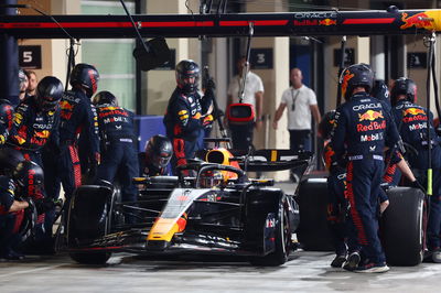 Max Verstappen (NLD) Red Bull Rac