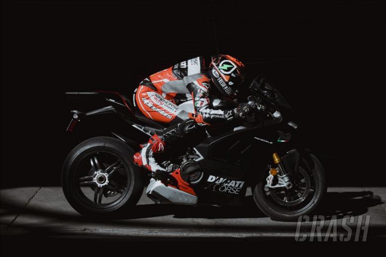 Josh Herrin Warhorse Ducati