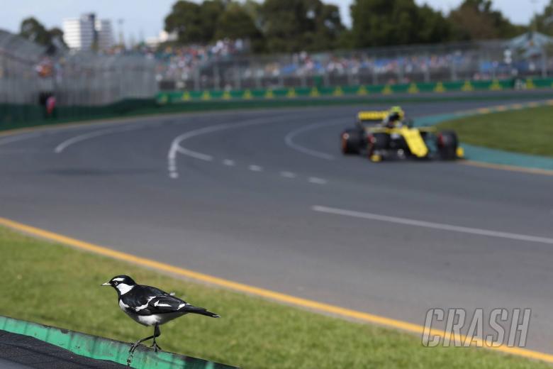 Ricciardo still understanding “magnitude of changes” at Renault