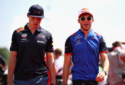 Pierre Gasly, Max Verstappen, Red Bull,