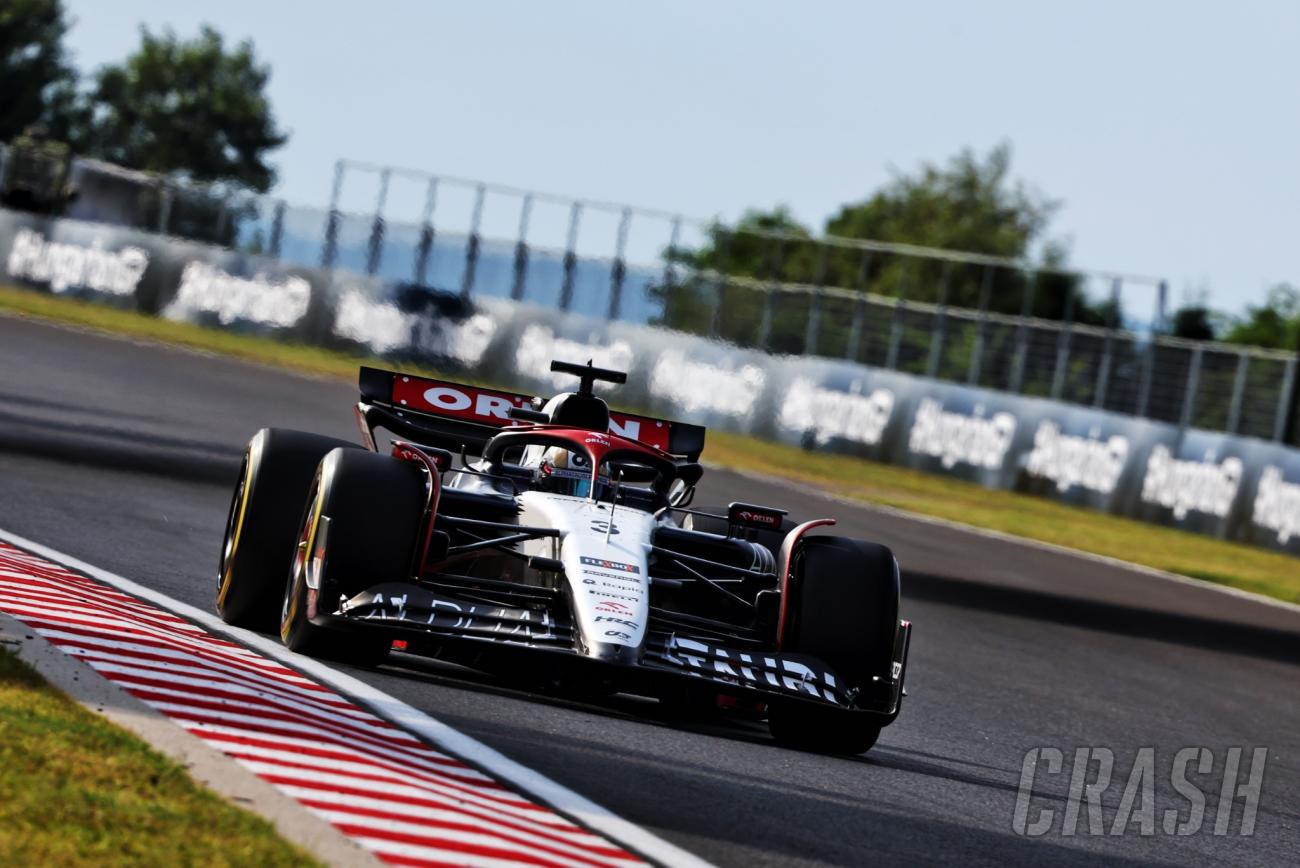2023 F1 Hungarian Grand Prix - Friday Practice