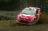 Daniel Carlsson / Mattias Andersson - Peugeot 307 WRC